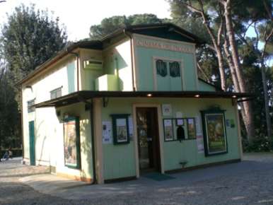 Cinema dei Piccoli