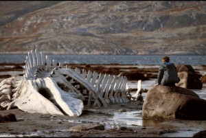 Leviathan by Andrey Zvyagintsev